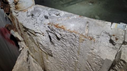 Graffiti Expo - 20250126_095308.jpg