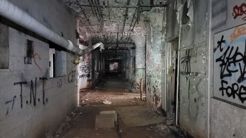 Graffiti Expo - 20250126_095241.jpg