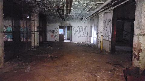 Graffiti Expo - 20250126_095208.jpg