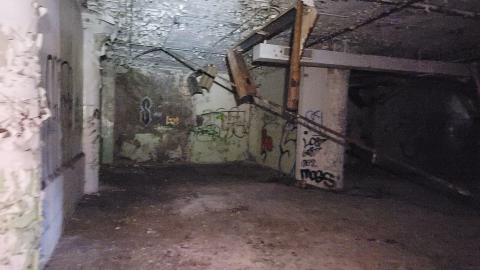 Graffiti Expo - 20250126_095152.jpg