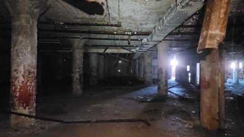 Graffiti Expo - 20250126_095149.jpg