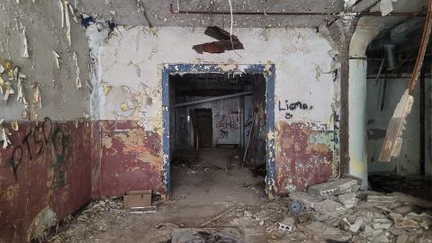 Graffiti Expo - 20250126_094840.jpg