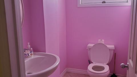 ugly pink bathroom