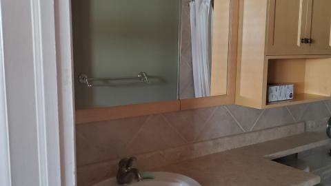 : to boring for dealing with cops - 20250127_125054.jpg