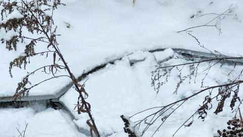 Belleville CN North industrial line (not operational) - 20250111_143945.jpg