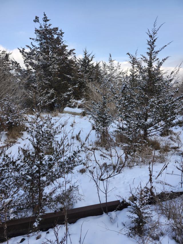 CN rail line no longer in use photo 3