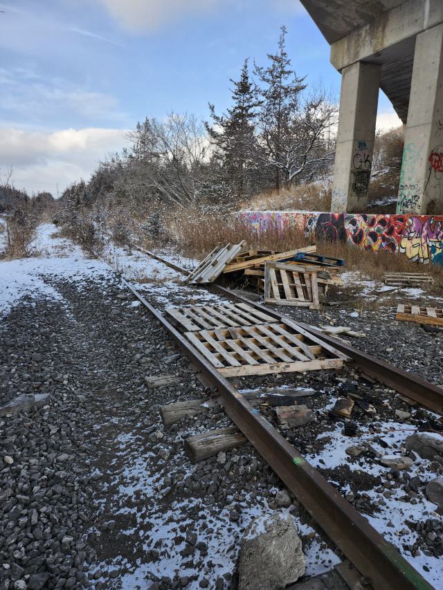 CN rail line no longer in use photo 5