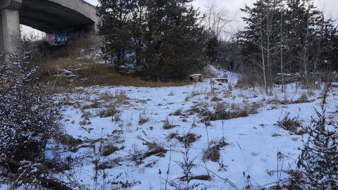 Belleville CN North industrial line (not operational) - 20250111_141800.jpg