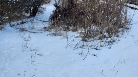 Belleville CN North industrial line (not operational) - 20250111_141434.jpg