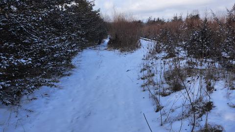 Belleville CN North industrial line (not operational) - 20250111_141429.jpg