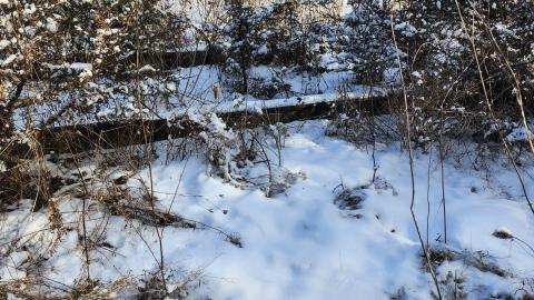 Belleville CN North industrial line (not operational) - 20250111_141255.jpg