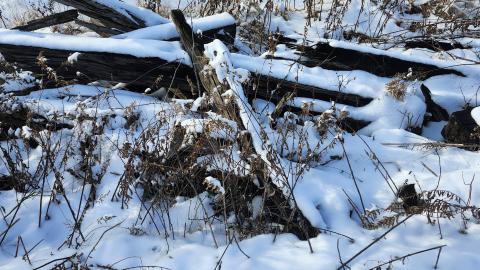 Belleville CN North industrial line (not operational) - 20250111_141109.jpg