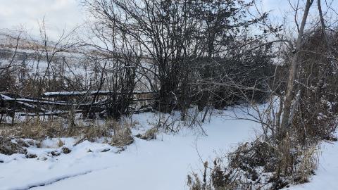 Belleville CN North industrial line (not operational) - 20250111_140335.jpg