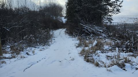 Belleville CN North industrial line (not operational) - 20250111_140333.jpg