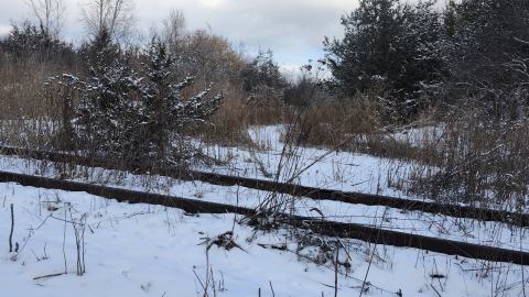 Belleville CN North industrial line (not operational) - 20250111_135803.jpg