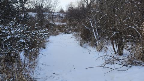 Belleville CN North industrial line (not operational) - 20250111_135800.jpg