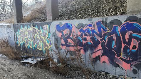 Belleville CN North industrial line (not operational) - 20250111_135620.jpg