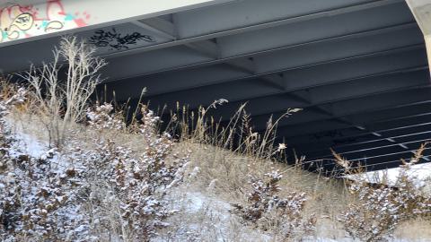 Belleville CN North industrial line (not operational) - 20250111_135535.jpg