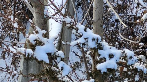 Belleville CN North industrial line (not operational) - 20250111_135421.jpg