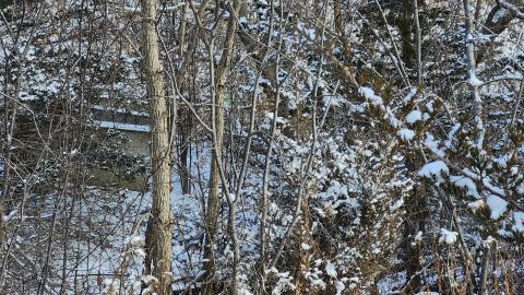 Belleville CN North industrial line (not operational) - 20250111_135413.jpg