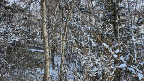 Belleville CN North industrial line (not operational) - 20250111_135410.jpg