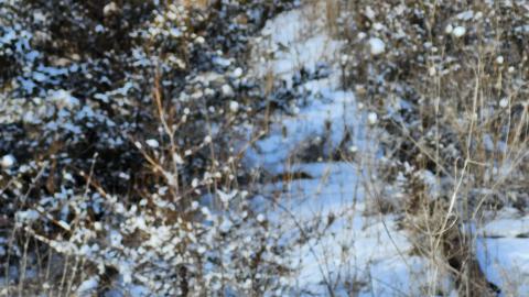 Belleville CN North industrial line (not operational) - 20250111_134838.jpg