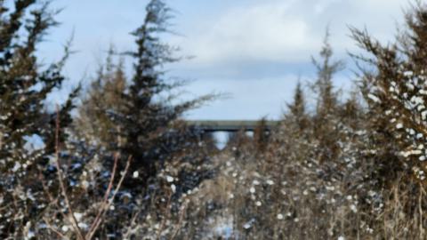 Belleville CN North industrial line (not operational) - 20250111_134828.jpg