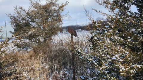 Belleville CN North industrial line (not operational) - 20250111_134625.jpg
