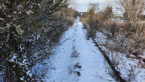Belleville CN North industrial line (not operational) - 20250111_134456.jpg