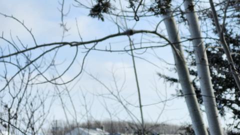 Belleville CN North industrial line (not operational) - 20250111_133519.jpg