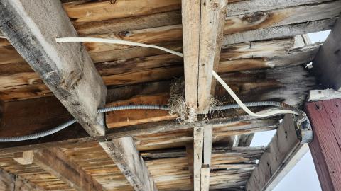 Eldorado, Ontario ( semi active) ghost town - 20250202_134332.jpg