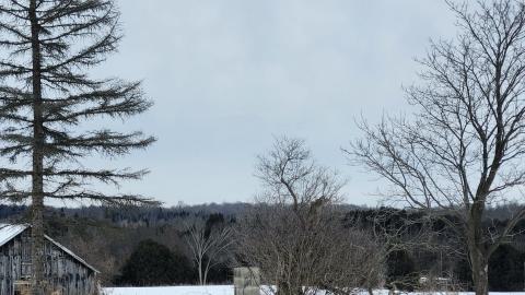 Eldorado, Ontario ( semi active) ghost town - 20250202_140817.jpg