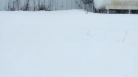 Eldorado, Ontario ( semi active) ghost town - 20250202_141836.jpg