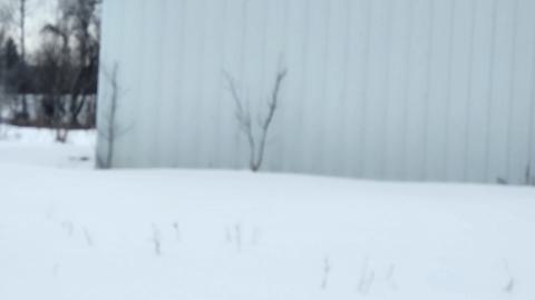 Eldorado, Ontario ( semi active) ghost town - 20250202_141848.jpg