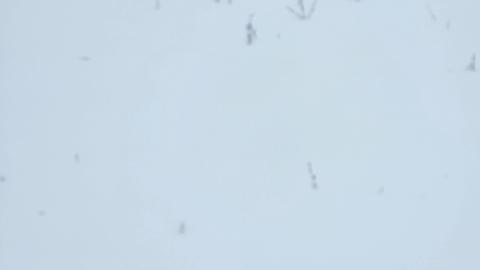 Eldorado, Ontario ( semi active) ghost town - 20250202_141852.jpg