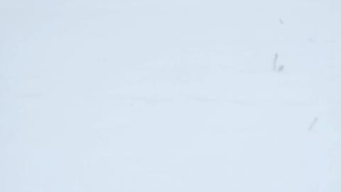 Eldorado, Ontario ( semi active) ghost town - 20250202_141858.jpg