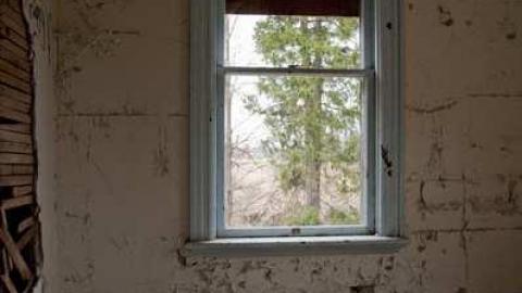 03/29/2012 - Jeremiahs-Field225.jpg