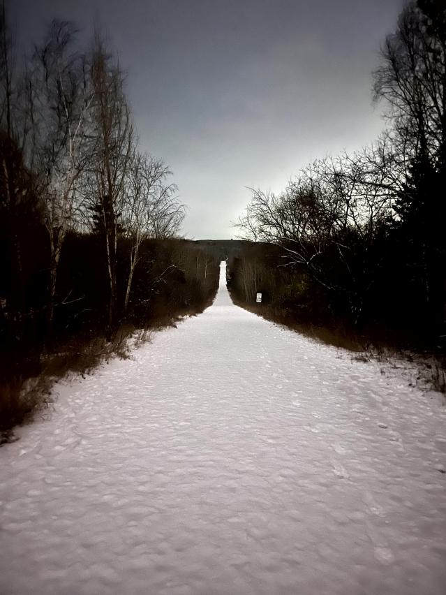 Bearely Worth the Drive - IMG_4787.jpg