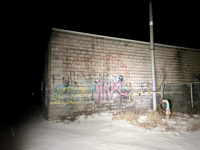 Bearely Worth the Drive - IMG_4796.jpg