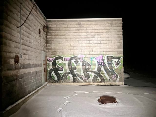 Bearely Worth the Drive - IMG_4798.jpg