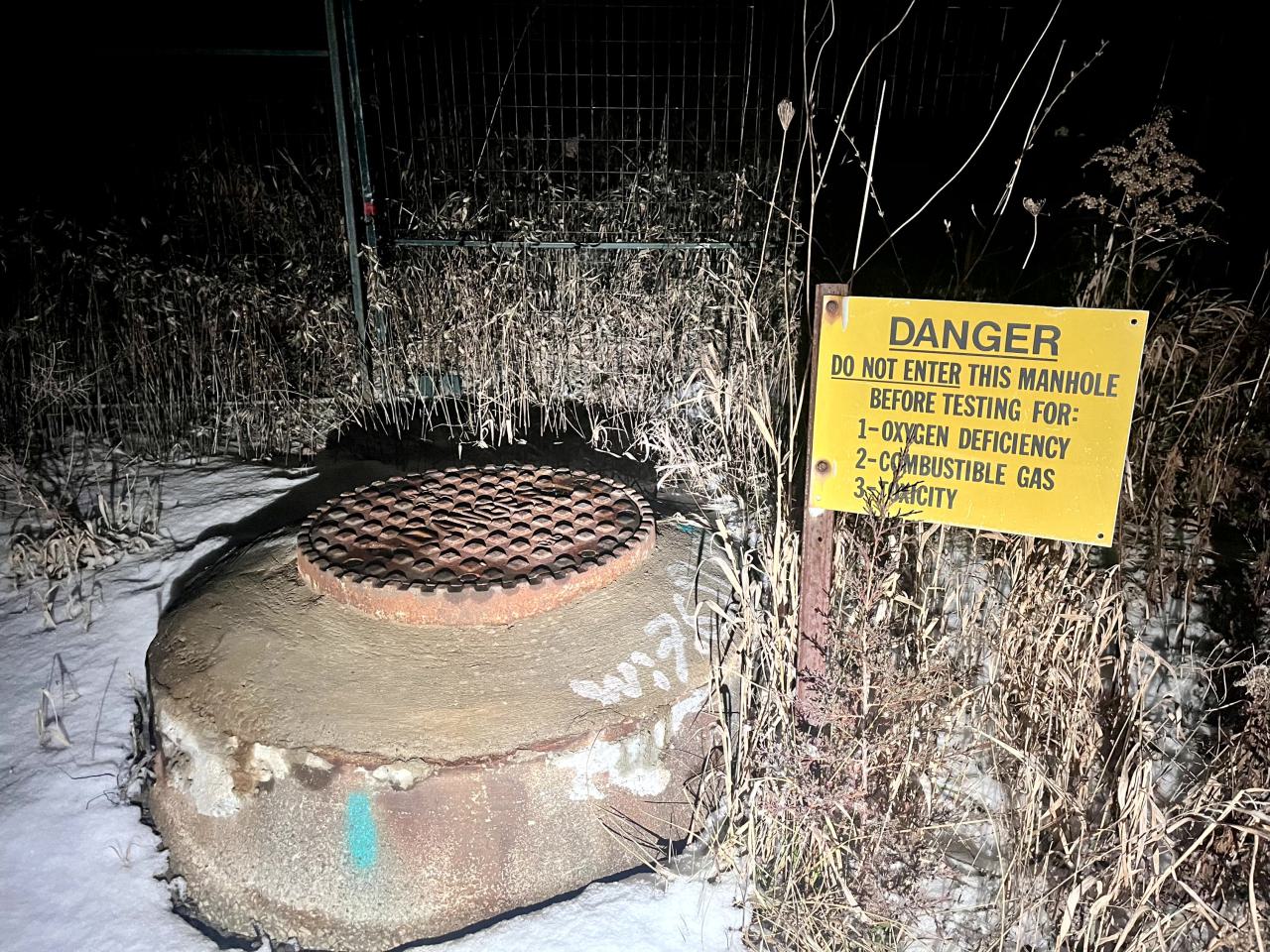 Bearely Worth the Drive - IMG_4804.jpg