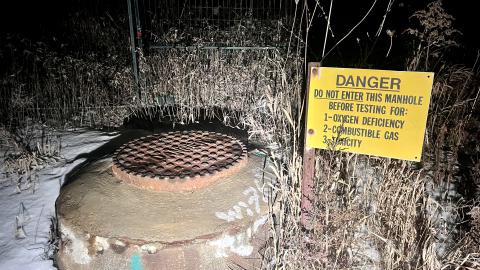 Bearely Worth the Drive - IMG_4804.jpg