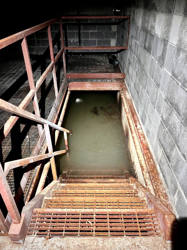 Bearely Worth the Drive - IMG_4812.jpg