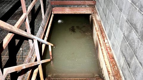 Bearely Worth the Drive - IMG_4812.jpg