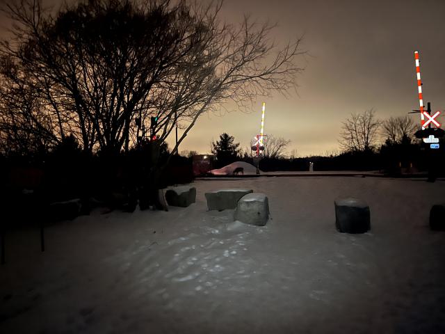 Bearely Worth the Drive - IMG_4813.jpg