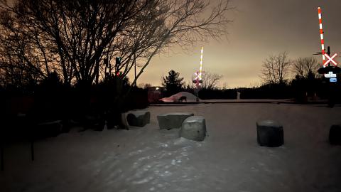 Bearely Worth the Drive - IMG_4813.jpg