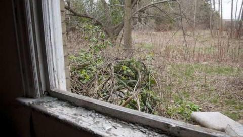 03/29/2012 - Jeremiahs-Field226.jpg