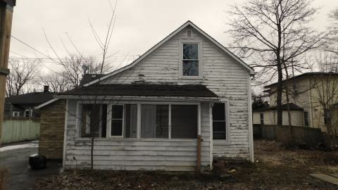 January 18 2025 - back.JPG