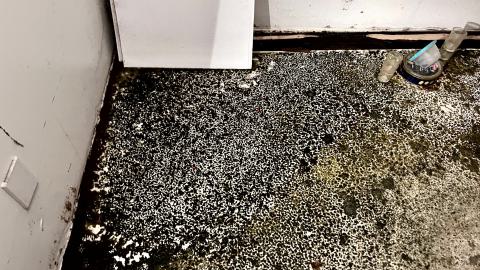 Mosque Party: Salah Is Better Than Sleep - IMG_4681.jpg