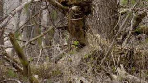 Photo from 03/29/2012